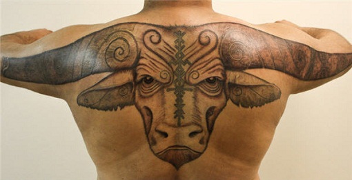 Bull Tattoos on Back For Men