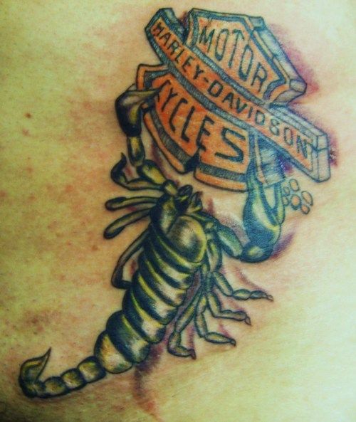 A Harley Davidson Scorpion Tattoo