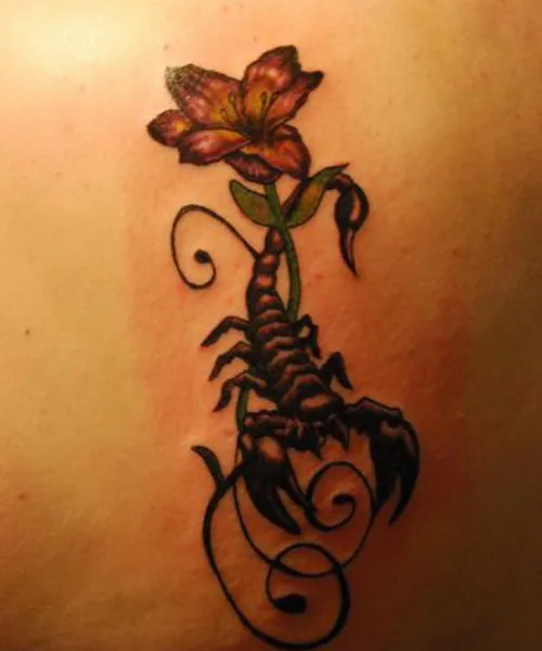Scorpion with Rose  Under the Needle