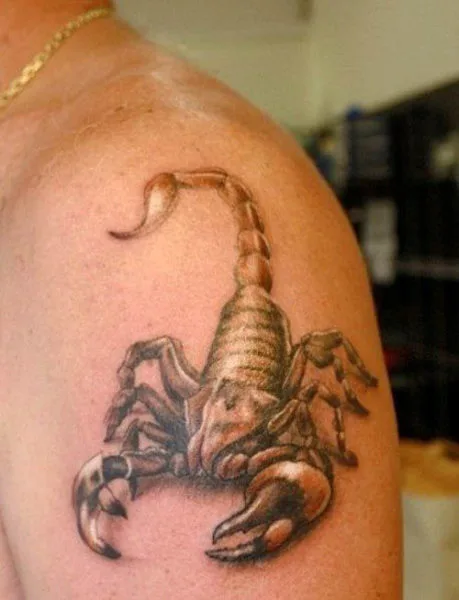 Man with 3D Scorpion Tattoo On Right Back Shoulder