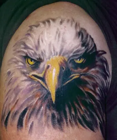 100 3d Eagle Back Tattoo Design png  jpg 2023