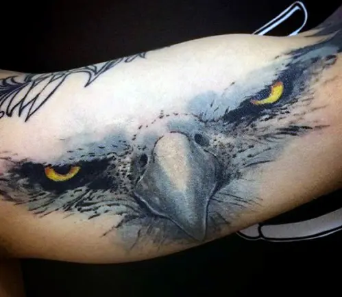 20 Best Eagle Eye Tattoo  Designs