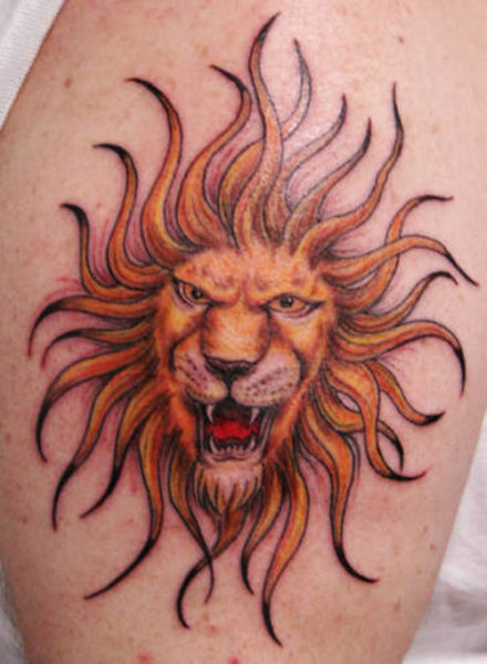 Angry Lion With Scars