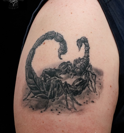 Scorpion Tattoos Meanings Styles and Design Ideas  Art and Design