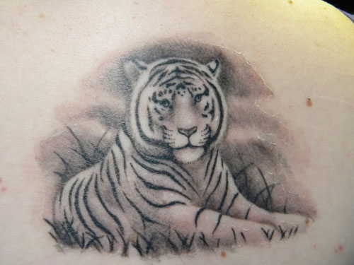 Tiger tattoo HD wallpapers | Pxfuel