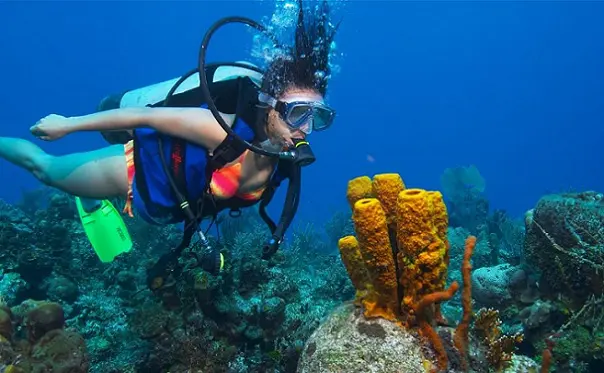 diving-bluetribe-moofushi_maldives-tourist-places
