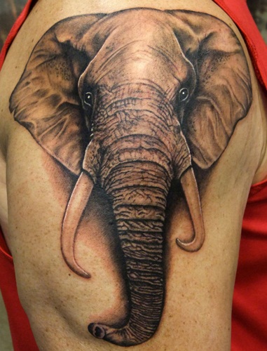 Elephant animal tattoo