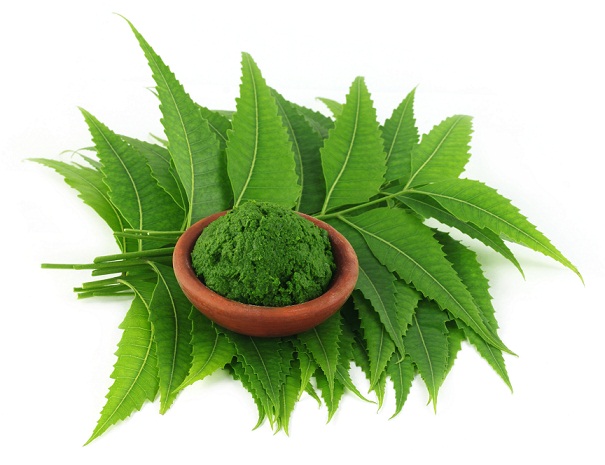 Neem leavs for pimples