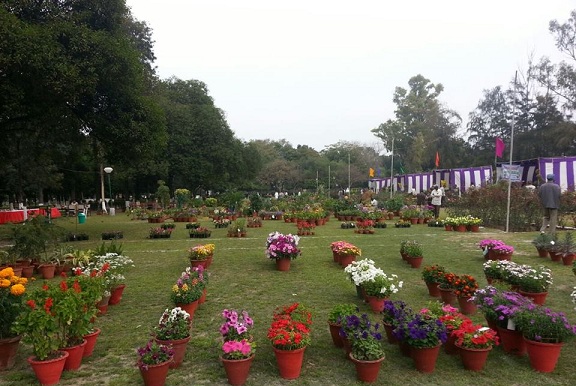 parks in ludhiana