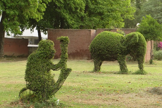 parks-in-chandigarh-topiary-park
