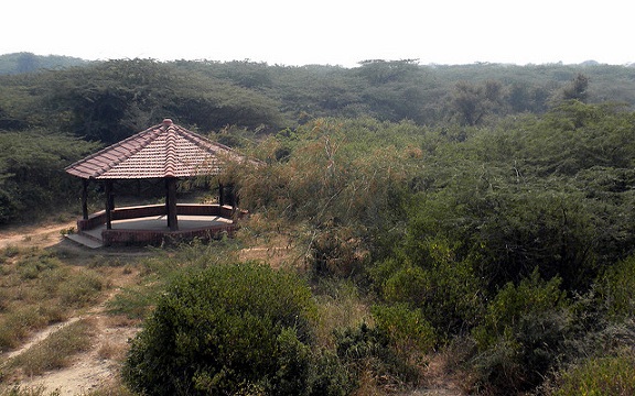 parks-in-gurgaon-asola-bhatti-wildlife-sanctuary