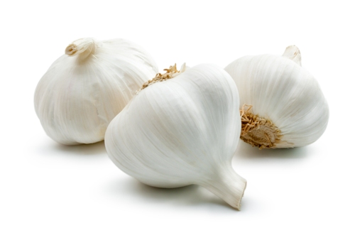 Garlic Use