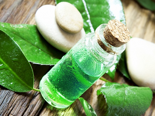 Tree tea oil for Smelly Hair
