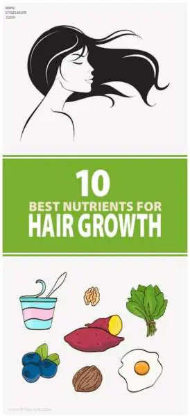 10 Best Foods With Nutrients For Hair Growth | Styles At Life