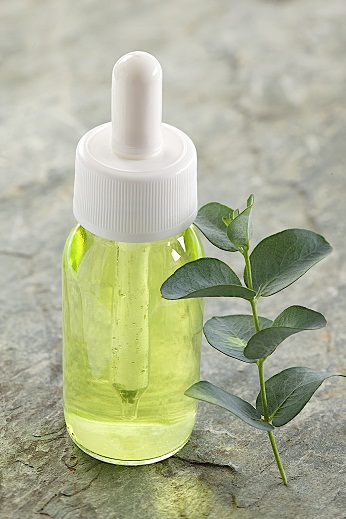 Eucalyptus Oil for Asthma