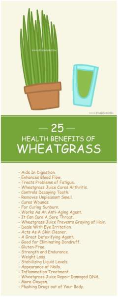 25 Wonderful Wheatgrass Juice Benefits For Skin, Hair & Health