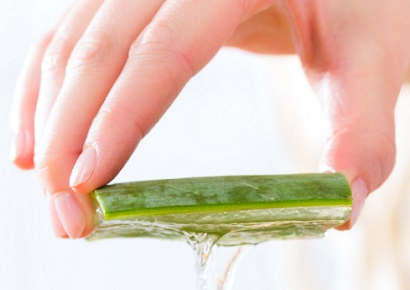 aloevera paste for premature hair greying