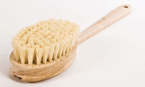 Dry Brushing at home cellulite removal