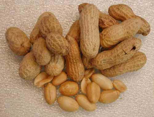 Peanuts unhealthy food
