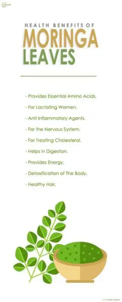 12 Best Moringa Leaves Benefits For Skin, Hair & Health