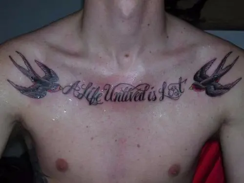 Male Chest Tattoo Bird  Cool chest tattoos Bird shoulder tattoos Chest  tattoo men