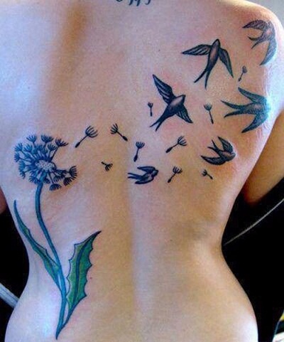 Swallow With Dandelions