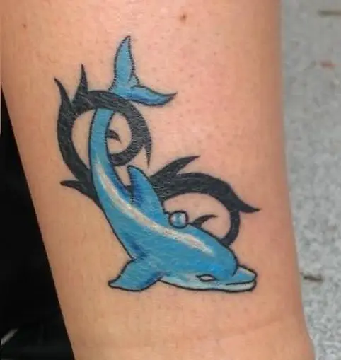 Dolphin Ankle Tattoo  Ankle tattoo Ankle tattoo designs Dolphins tattoo