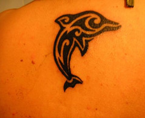 DolphinTribal Tattoo for Young Girls