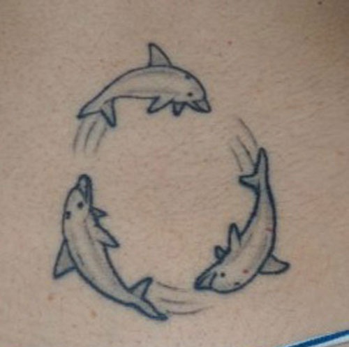Chirpy and Lovely Dolphin Tattoo for Women