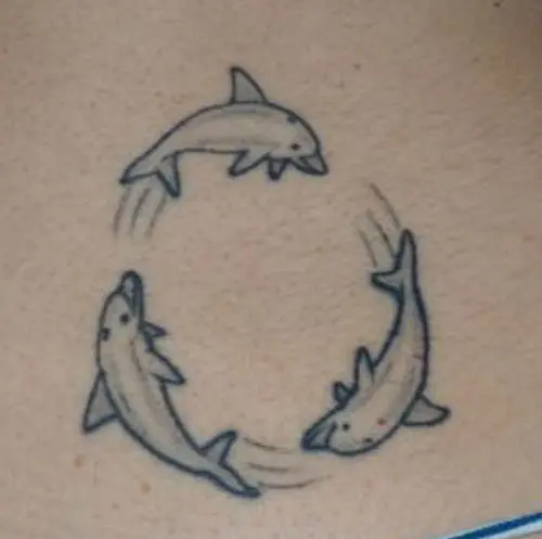 10 Unforgettable shoulder dolphin tattoos