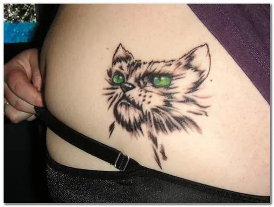 cat tattoo on the stomach 03122019 012 cat tattoo tattoovaluenet   tattoovaluenet