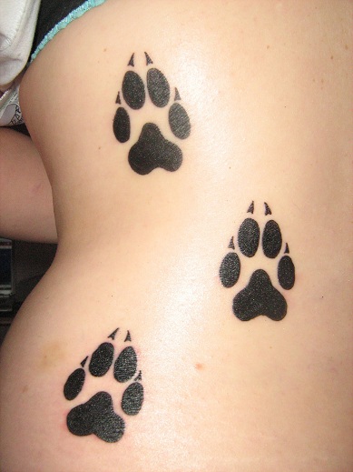Cat Paw Design Tattoo