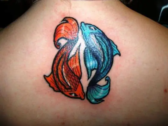 Koi Fish Tattoo On Chest And Arm