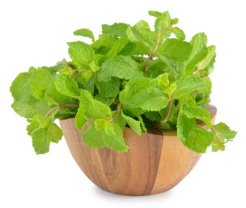 peppermint reduce cough and cold