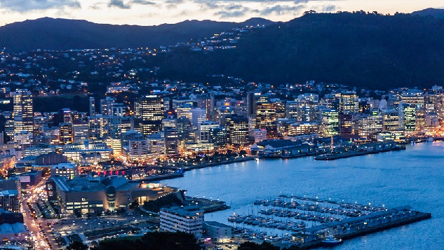 Wellington City at dusk from Mount Victoria