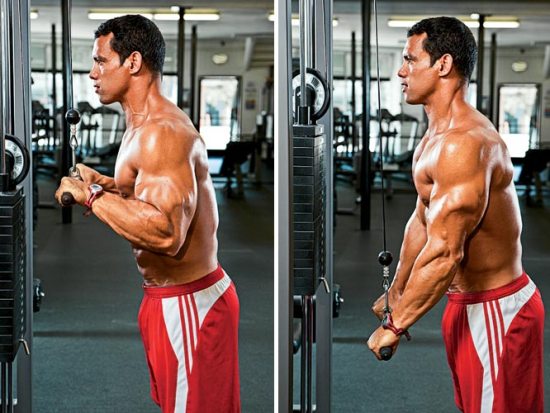 best tricep building exercises