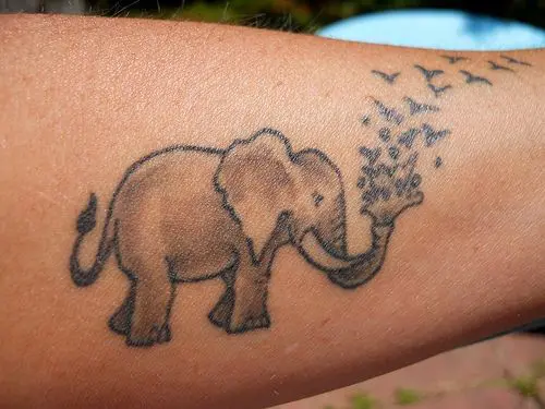 Elephant outline tattoo  The Black Dahlia Tattoo Parlour  Facebook