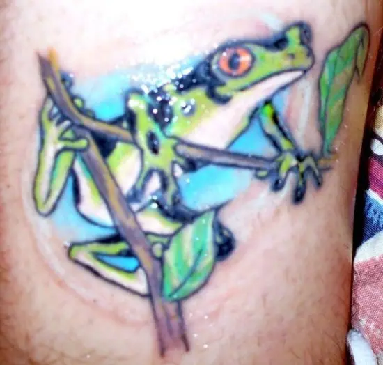 froggy tattoo Art Board Print for Sale by TourDePassion  Redbubble