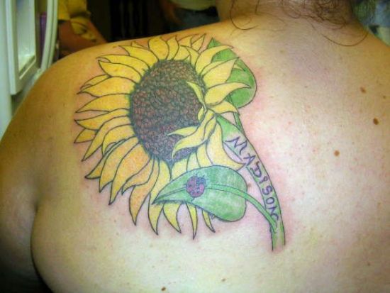 Sunflower With Lady Bug Tattoo Design