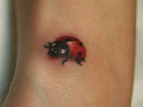  Small 3D Lady Bug Tattoo Design