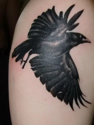 Shoulder blade tattoo of a raven