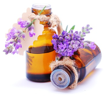 Lavender Oil for hair fall