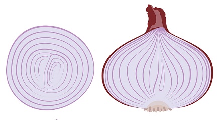Onion Juice for dandruff