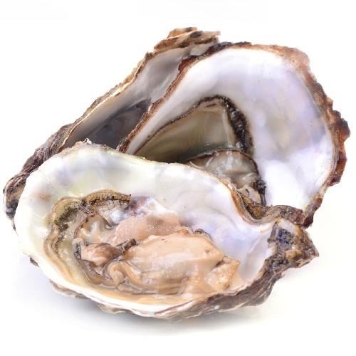 Oysters the richest food sources of zinc