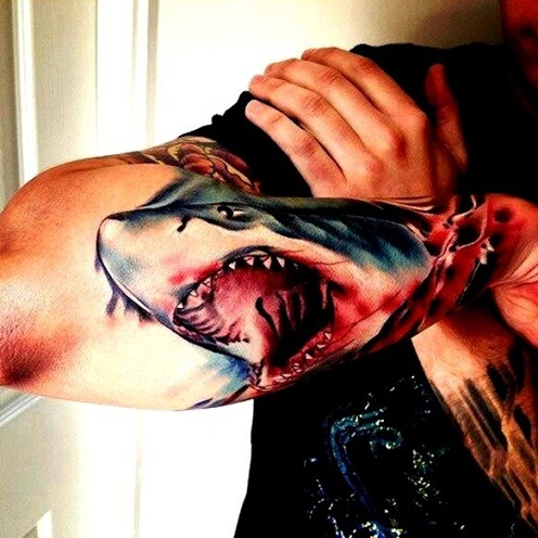 Permanent Shark Tattoo Designs