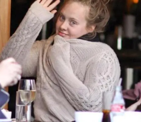 Middelhavet Socialist Gammeldags 8 Pictures of Adele without Makeup | Styles At Life