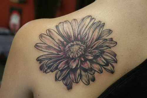 Daisy Flower Tattoos For Females