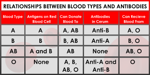 kinds of blood type