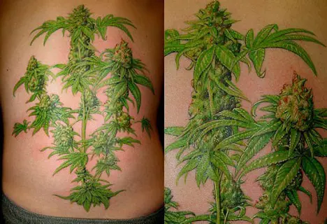 Marijuana Tattoo On Blurred Palm Hand Stock Photo 1239077683  Shutterstock