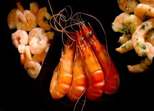 Benefits and Dangers of Eating Shrimp During Pregnancy | Styles At Life